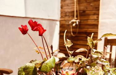 Villa Valeria, Casa con Cueva privada del 1748 - Foto 17