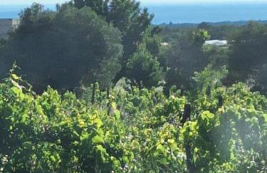 Casa dell ´amore - Foto 37