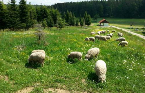 Kleine Ferienwohnung auf dem Land, Haus Hans Stepha - Foto 14