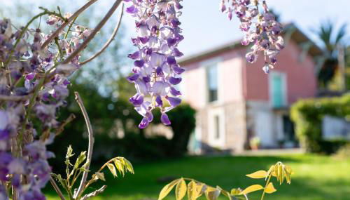 Posada Rolisas - Foto 5, Garden