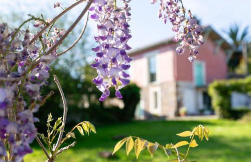 Posada Rolisas - Foto 5