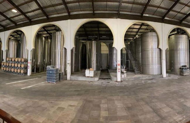 Tour della Rota dos Espumantes - Foto 6