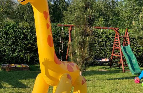 Agro na Wapniarni - Foto 78