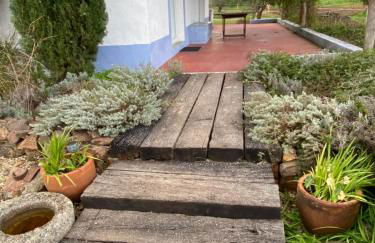 Courela do Monte Novo - Photo 47