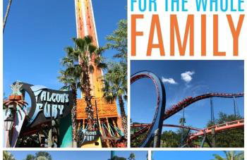 Heated PoolPing pongFoosballShort drive 2 Beach - Foto 42