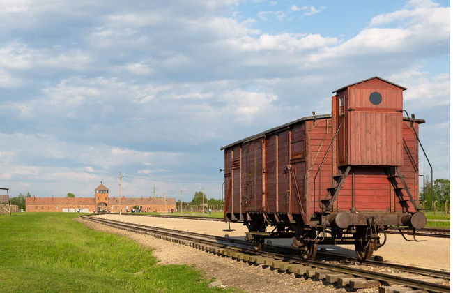 Excursión privada a Auschwitz-Birkenau - Foto 4