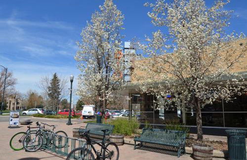 Cute 1 Bdrm Bungalow - New Flooring! - Foto 11