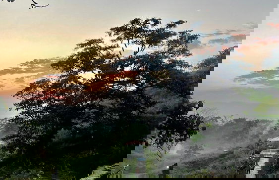 Turban Nature Wilderness Kumbhalgarh - Foto 15