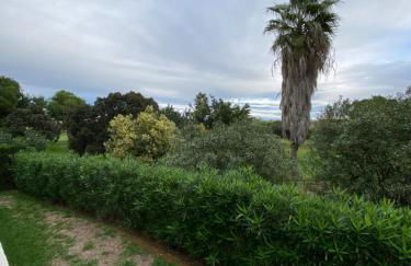 Oasis Hoyo 12 - Oliva Nova playa MET&GOLF - Photo 40