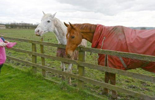 THE OLD Cart House - Foto 44