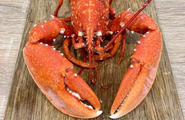 La Falaise Bleue - Vue mer - Plage à pied - Foto 67
