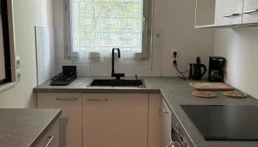 Charmant 2P Cosy Bord de Seine avec terrasse - Foto 5, stove