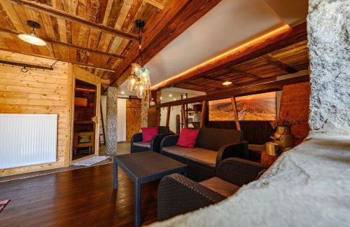 Ferienhaus Ottenhöfen - Sauna | Hot Tub - Foto 17