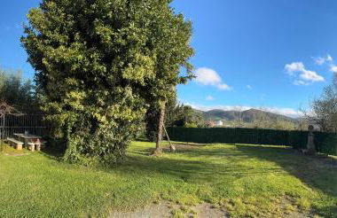 La Casona de Tito - Foto 8