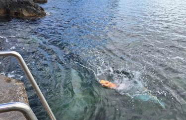 Casa da Furna - Photo 13