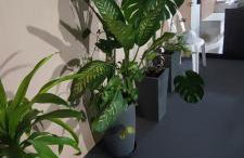 Linda casa com piscina - Photo 19