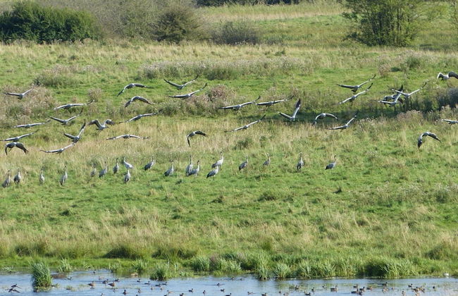 aan de Pastorie - Foto 29