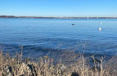 Gemütliches Haus zwischen Förde und Golfplatz - Foto 16