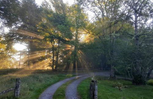 Spectacular Mountain View Ecopod - Foto 18