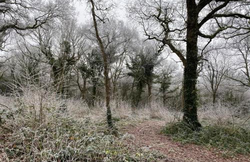 Bluebells Farmstay - Foto 17