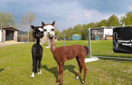 Bergpanorama Ruhla - Foto 51