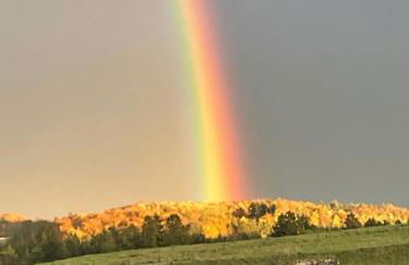 Ferienwohnung Aussicht, Monheimer Alb, Altmühltal - Foto 24