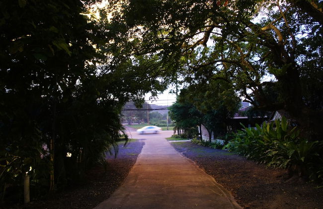 Palm Village - Foto 35