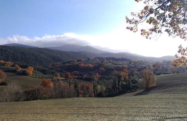 La Nocciolaia - Photo 36