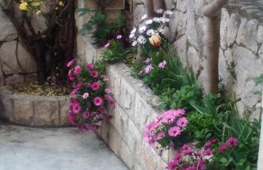 Apartments Zlosilo - Photo 3