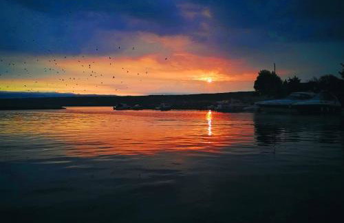 Apartments Katarina Porat - Foto 55