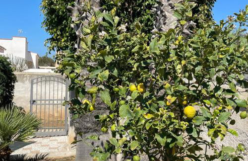 Villa Silvana - Foto 68