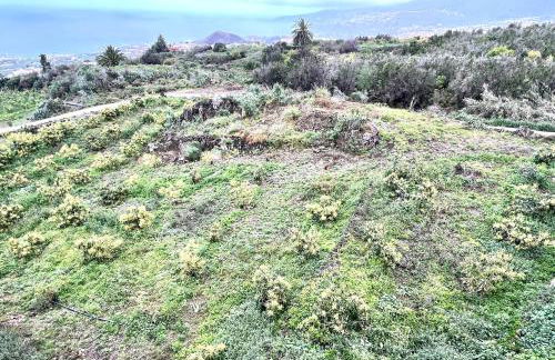 Casa Vacacional Bevi - Tenerife Norte - Foto 28