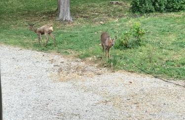 Château de la Coudraie et La Petite Coudraie - Photo 25