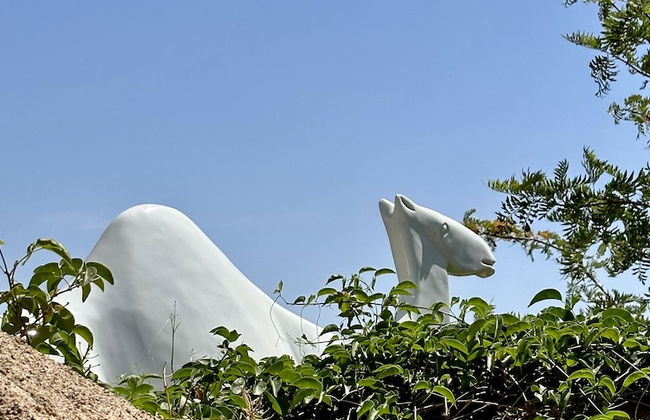 Quelque part au barrage - Foto 24