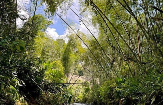 Ecocabañas Pereira - Foto 39