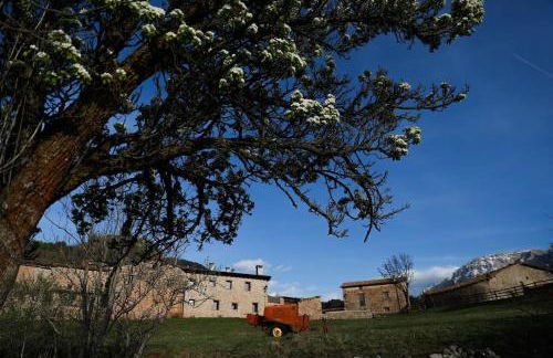 Preciosa Casa Cal Jaumet - Photo 7