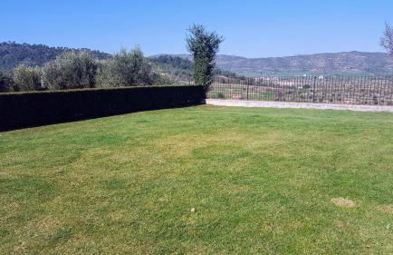 La Torre Blanca - Photo 5