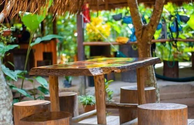 Tronco Tambopata Adventure - Photo 53