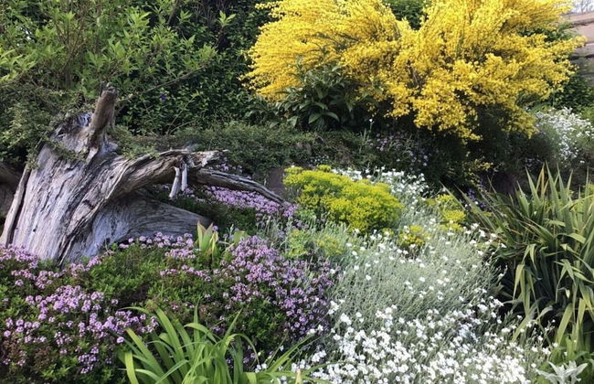 Holiday Home Lalelu Comfortable Vacation Home - Foto 2