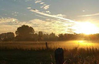 Ferienwohnung am Betzelhübel - Foto 21