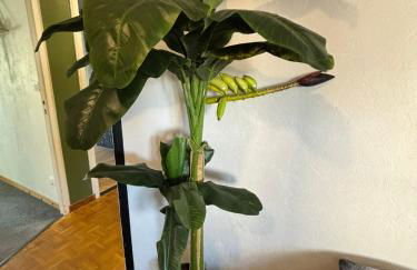 Jungle Cosy - Foto 42