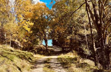 GÓRSKA CISZA - Duży, komfortowy, wyjątkowy Apartament - Foto 74