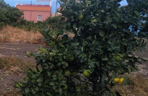 Vv Casa Conchi - Photo 51