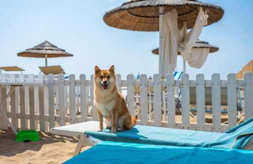 Tenuta L'uliveto - Foto 66