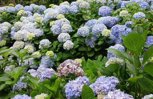 Lagoa Princess Condo - Photo 10