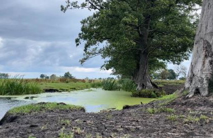Kopice " Kowalczyk In Nature Parks Blue Velo" - Foto 56