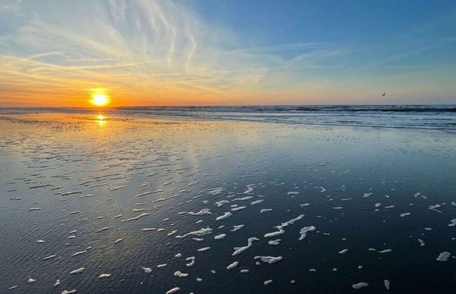 Reethuus Sud Modern Retreat - Foto 31