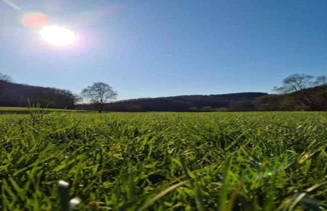 Wohnung in der Nahe des Skigebietes Battenberg - Foto 35