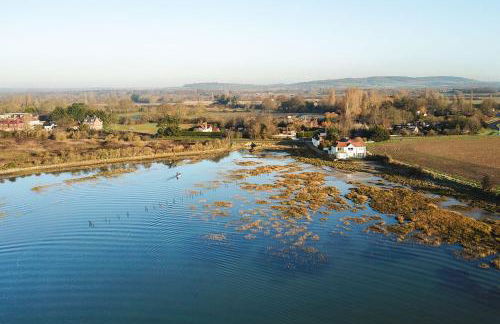 Snow Goose - Foto 22