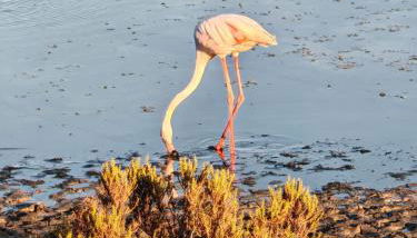 Sophia' s house appartamento Quartello - Foto 3